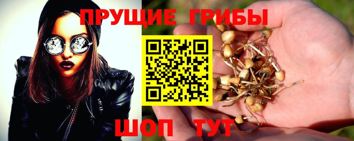 Бирск  Галлюциногенные грибы MAGIC MUSHROOMS  Вход с VPN 