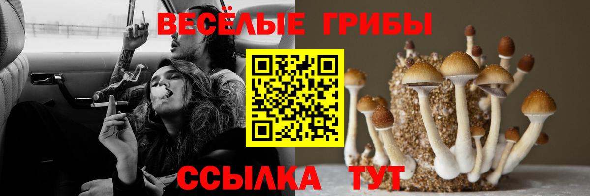 Галлюциногенные грибы Magic Shrooms Бирск